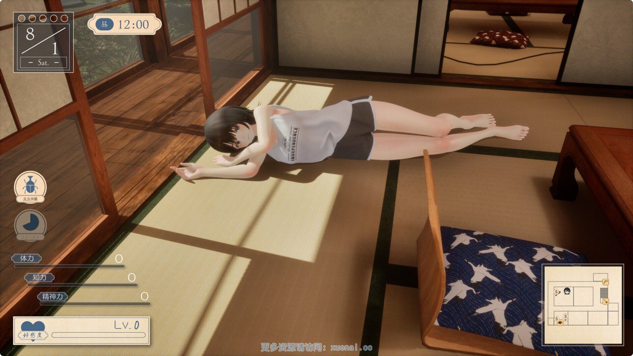 夏姐 角色养成 资料图 4