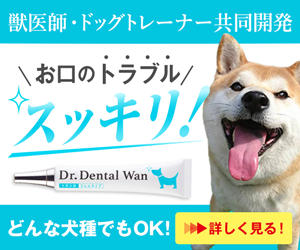 杉本彩さんもオススメ！なめるデンタルケア、愛犬が歯磨き嫌いでも楽々ケア！【ドクターデンタルワン】