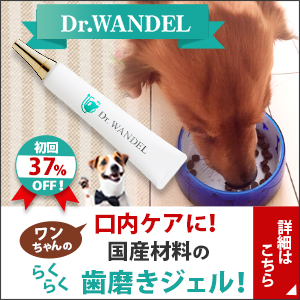 20秒で愛犬の歯磨き完了！犬用デンタルケア商品のドクターワンデル、とにかく販売数がすごい！